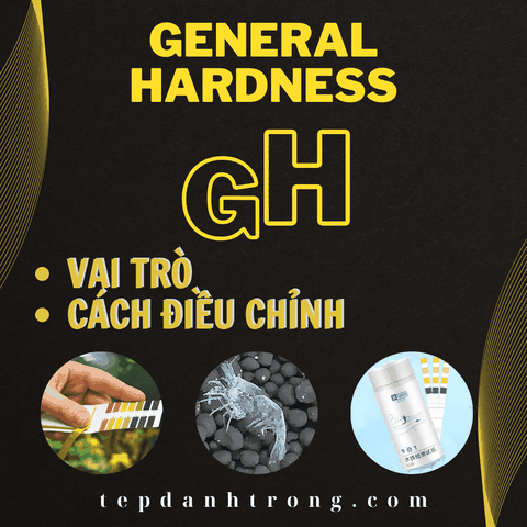 gH là gì? Vai trò cũng như cách điều chỉnh gH đối với bể tép.