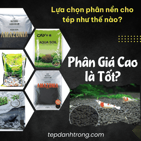 Lựa chọn phân nền cho tép như thế nào? Liệu có phải phân nền càng mắc thì càng tốt?