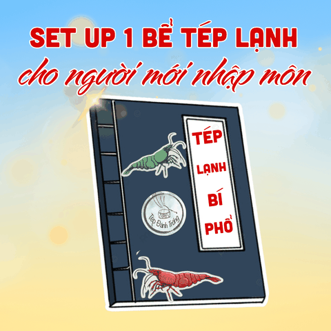 Tất Tần Tật về cách set-up một bể tép lạnh (Caridina shrimp)