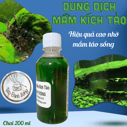 Dung dịch mầm kích tảo - phát triển tảo trong bể tép - Bổ sung vi sinh, khoáng giúp ổn định, giảm th.gian cycle nước