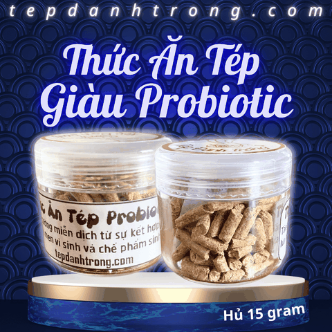 Thức Ăn Tép Giàu Probiotic - Tăng cường miễn dịch