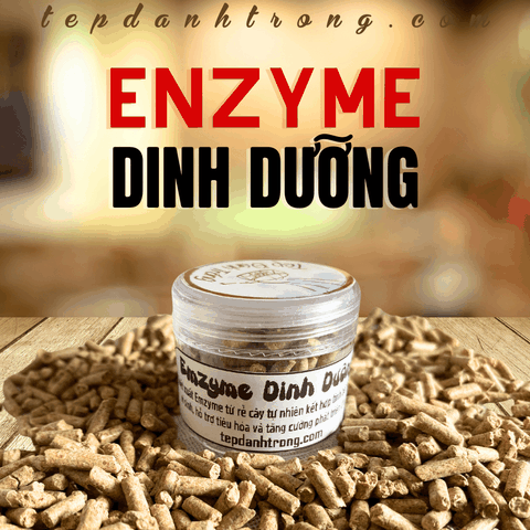 Enzyme Dinh Dưỡng - Thức ăn tép cảnh chuyên dụng - Hỗ trợ phát triển toàn diện cho tép nhờ chiết xuất enzyme rễ cây
