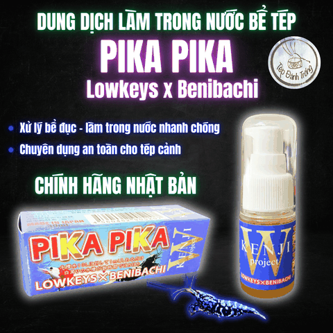 Pika Pika (Lowkeys x Benibachi) - Dung dịch làm trong nước, khắc phục hiện tượng đục bể tép cấp tốc