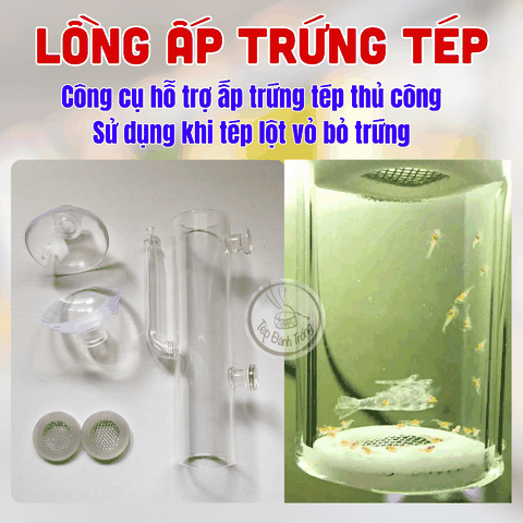 Lồng Ấp Trứng Tép - Hỗ Trợ Ấp Trứng Tép Thủ Công Khi Tép Lột Vỏ Dính Trứng