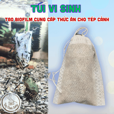 Túi Vi Sinh - Cung Cấp Biofilm dinh dưỡng tự nhiên cho tép cảnh