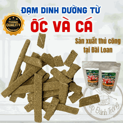 Đạm Cao Cấp từ Ốc và Cá - Hỗ trợ lên màu, sáng sứ  - Thức ăn tép sản xuất thủ công tại Đài Loan