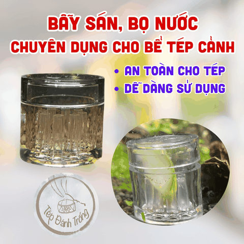 Bẫy sán, bọ nước chuyên dụng cho bể tép cảnh, an toàn dễ sử dụng