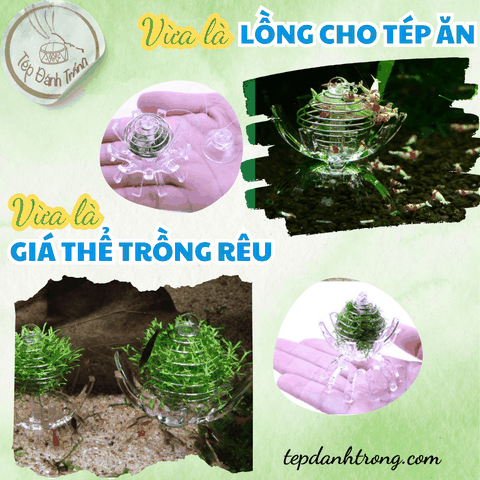 Lồng Cho Tép Ăn Cao Cấp - Giá Thể Trồng Rêu
