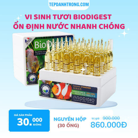 Vi sinh tươi BioDigest - Ổn Định Nước Nhanh Chóng