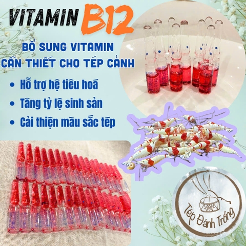 Vitamin B12 – Bổ sung vitamin cho tép, cải thiện tiêu hoá, kích thích tép đi tìm thức ăn, tăng tỉ lệ sinh sản ở tép mẹ