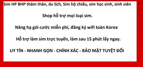 Giới thiệu SIM
