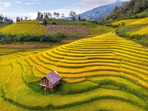 Lịch trình gợi ý du lịch 2 ngày 1 đêm Mù Cang Chải