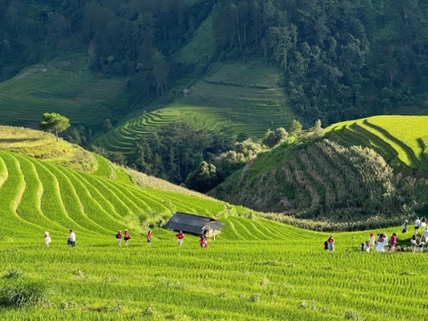 Du lịch Mù Cang Chải thì chơi ở đâu ???