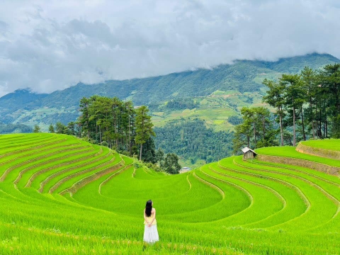Mù Cang Chải mùa nào đẹp?