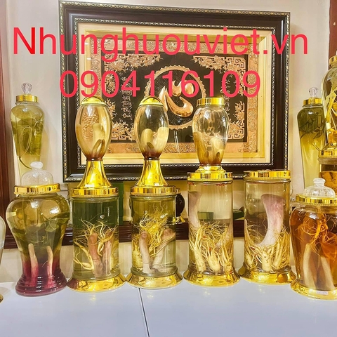 RƯỢU NHUNG HƯƠU