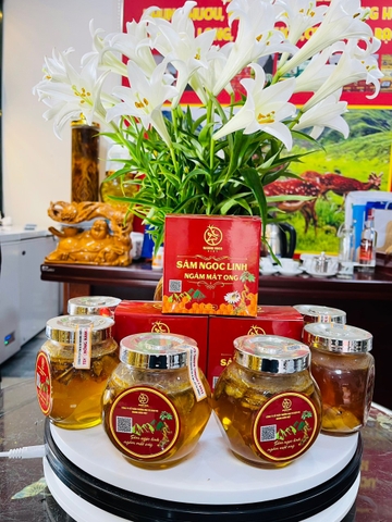 SÂM NGỌC LINH NGÂM MẬT ONG