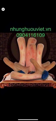 NHUNG HƯƠU TƯƠI NGUYÊN CẶP