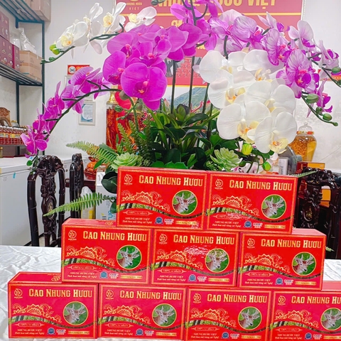 CAO NHUNG HƯƠU