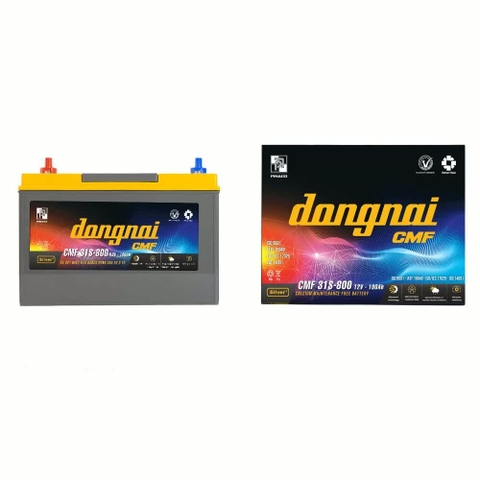 Ắc quy Đồng Nai CMF 31S800 100AH