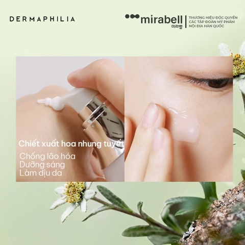 Tinh chất dưỡng da Dr. Melaheal Serum