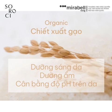 Nước cân bằng da Soroci Repair Skin Softener