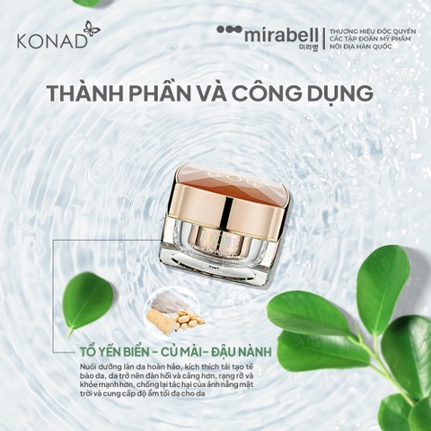 ILOJE MIRACLE DE AGING PROJECT SET