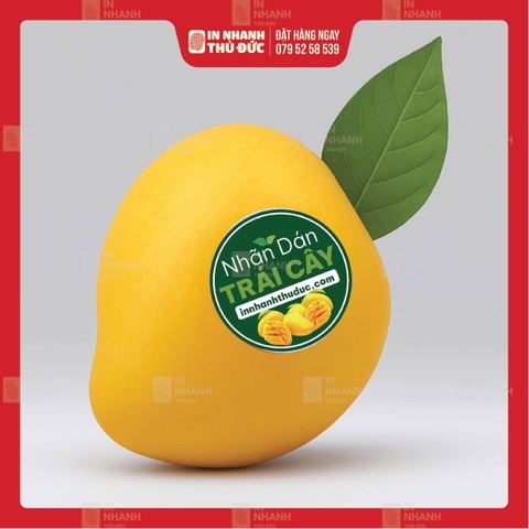 Tem Giấy, Tem Nhựa, Hay Tem Dán Trực Tiếp: Đâu Là 