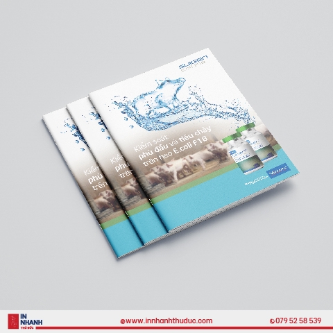 In Catalogue - Đóng ghim giữa