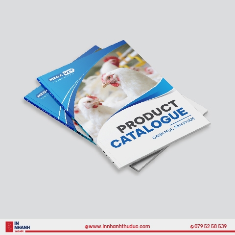 In Catalogue - Đóng keo gáy