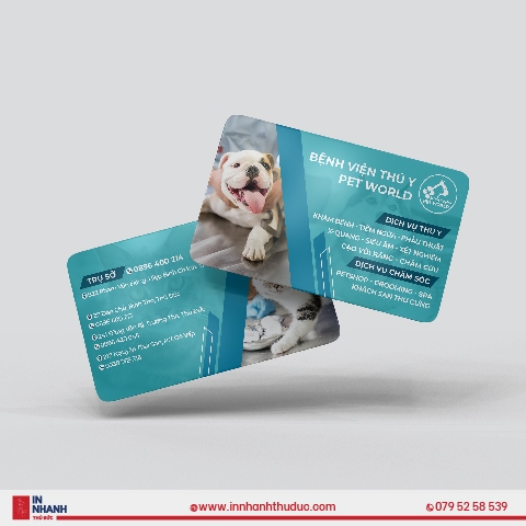 In Danh Thiếp Nhựa - Plastic Business Namecard