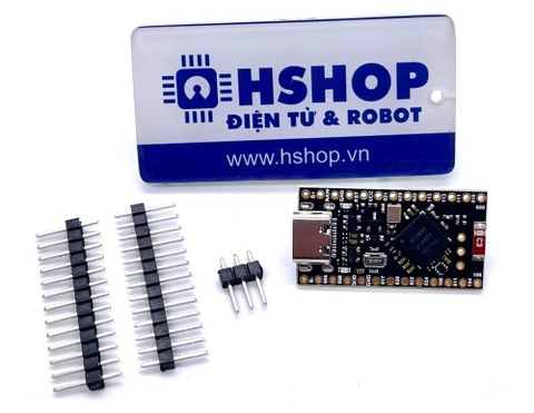 Kit phát triển BLE Mesh Thread Zigbee SoC NRF52840 ProMicro Nologo