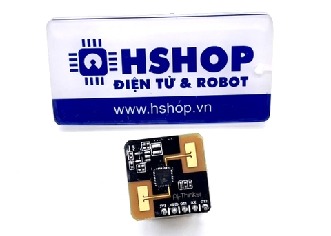 Cảm biến hiện diện mmWave 24GHz Human Presence Sensing Rd-03 Ai-Thinker