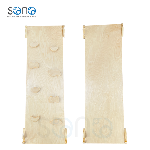 Ván trượt 2 mặt - V109