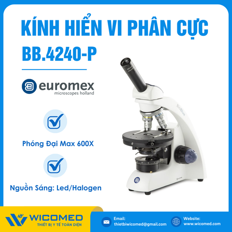 Kính Hiển Vi Phân Cực 600 Lần Euromex BB.4240-P