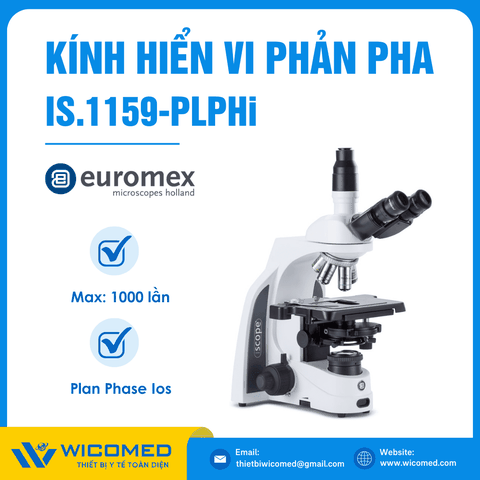 Kính Hiển Vi Soi Phản Pha 1000 Lần Euromex IS.1159-PLPHi