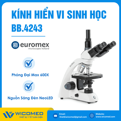 Kính Hiển Vi Sinh Học 3 Mắt 600 Lần Euromex BB.4243