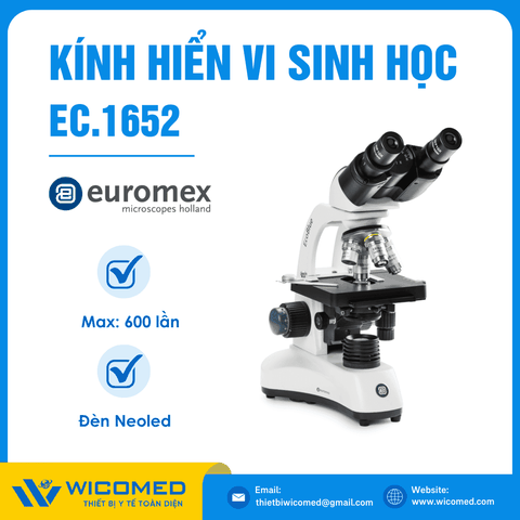 Kính Hiển Vi Sinh Học 3 Mắt 600 Lần Euromex EC.1652