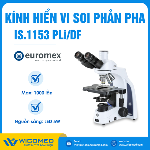 Kính Hiển Vi Soi Phản Pha Trường Tối 1000 Lần Euromex IS.1153‑PLi/DF