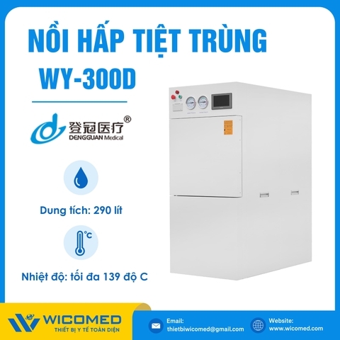 Nồi Hấp Tiệt Trùng Dengguan WY-300D | 290 Lít