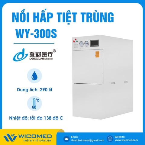 Nồi Hấp Tiệt Trùng Dengguan WY-300S | 290 Lít