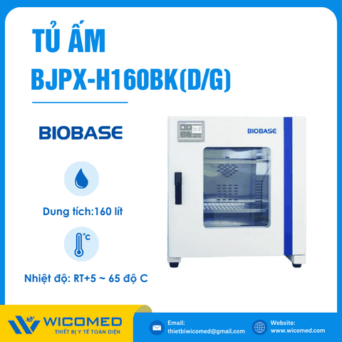 Tủ Ấm 160 Lít Biobase BJPX-H160BK(D/G)
