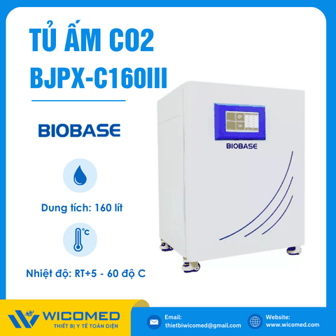 Tủ Ấm CO2 160 Lít Biobase BJPX-C160III