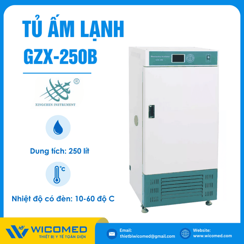 Tủ Ấm Lạnh Có Chiếu Sáng 3 Mặt 250 Lít Xingchen GZX-250B