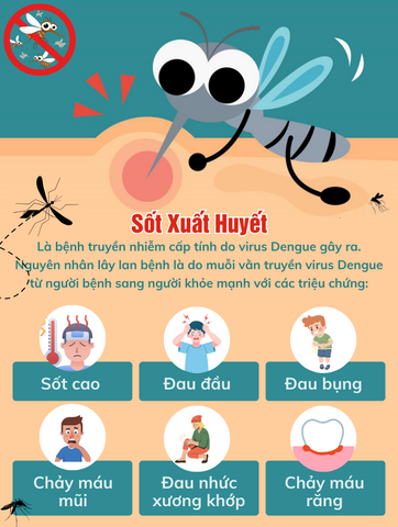 Bệnh Sốt Xuất Huyết Là Gì Và Mức Độ Nguy Hiểm Như Thế Nào?