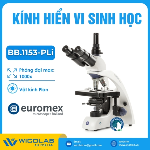 Kính hiển vi sinh học 3 mắt Euromex BB.1153-PLi | Độ phóng đại 1000X