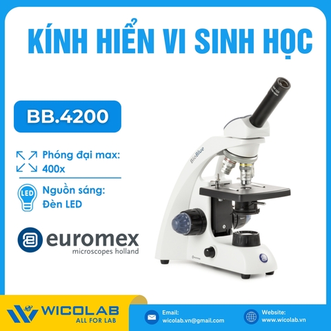 Kính hiển vi sinh học 1 mắt Euromex BB.4200 | Độ phóng đại 400 lần