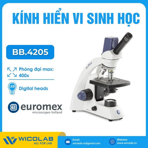 Kính hiển vi sinh học 1 mắt Euromex BB.4250 | Độ phóng đại 1000 lần
