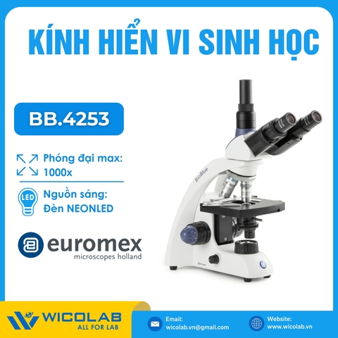 Kính hiển vi sinh học 3 mắt Euromex BB.4253  | Độ phóng đại 1000X