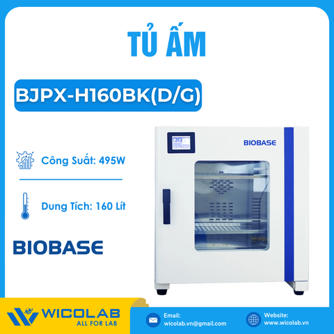 Tủ Ấm Biobase BJPX-H160BK(D/G) | 160 Lít