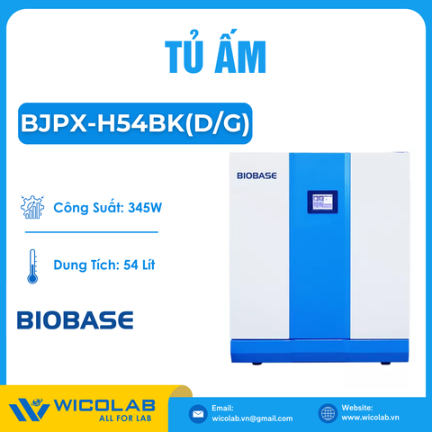 Tủ Ấm Biobase BJPX-H54BK(D/G) | 54 Lít